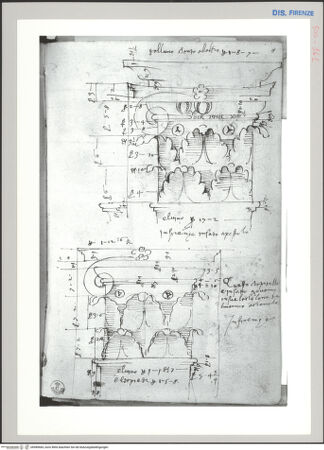 Vorderseite von Sopr BAS FI [http://creativecommons.org/publicdomain/mark/1.0/] Florenz, Aufriss zweier Kapitelle aus SS. Apostoli und aus dem Baptisterium mit Maßangaben - , bh589684_recto. Foto.