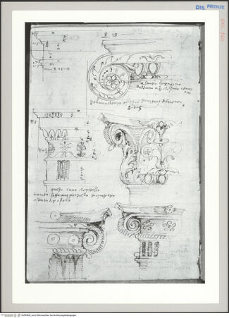 Vorderseite von Sopr BAS FI [http://creativecommons.org/publicdomain/mark/1.0/] Rom, Studien nach Kapitellen in SS. Apostoli und S. Lorenzo in Miranda - , bh589685_recto. Foto.