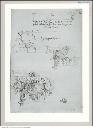 Vorderseite von Sopr BAS FI [http://creativecommons.org/publicdomain/mark/1.0/] Rom, Schwelle der Scala Santa und Studien nach Kapitellen, u.a. aus S. Prassede - , bh589688_recto. Foto.