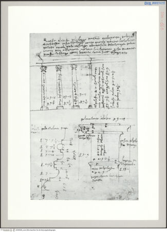 Vorderseite von Sopr BAS FI [http://creativecommons.org/publicdomain/mark/1.0/] Rom, Nervaforum, Studien zur Kolonnade - , bh589689_recto. Foto.