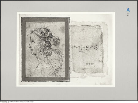 Vorderseite von Nationalmuseum Stockholm [https://www.deutsche-digitale-bibliothek.de/content/lizenzen/rv-ez/] Frauenkopf in Profilansicht mit Blickrichtung nach links - , bh589924_recto. Foto.