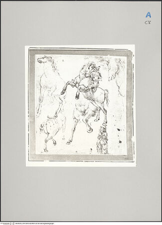 Vorderseite von Nationalmuseum Stockholm [https://rightsstatements.org/page/CNE/1.0/] Reiter auf einem sich aufbäumenden Pferd und Pferdestudien - , bh589956_recto. Foto.