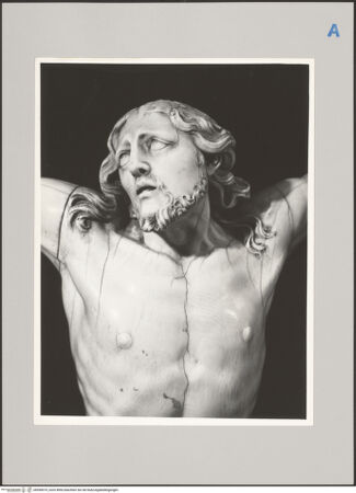 Vorderseite von bh590019_recto