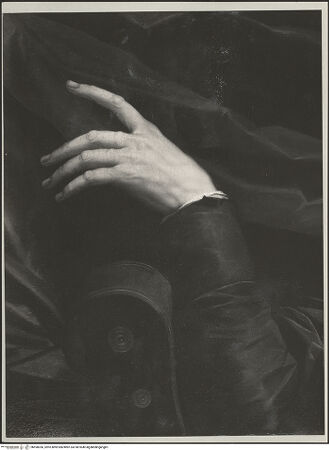 Vorderseite von unbekannt [https://rightsstatements.org/page/CNE/1.0/] Bildnis eines Gelehrten - Ausschnitt der linken Hand, bh590036_recto. Foto.