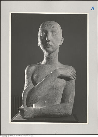 Vorderseite von Gabinetto Fotografico Nazionale [https://www.deutsche-digitale-bibliothek.de/content/lizenzen/rv-ez/] Büste eines Jünglings - Frontalansicht, bh590305_recto. Foto.