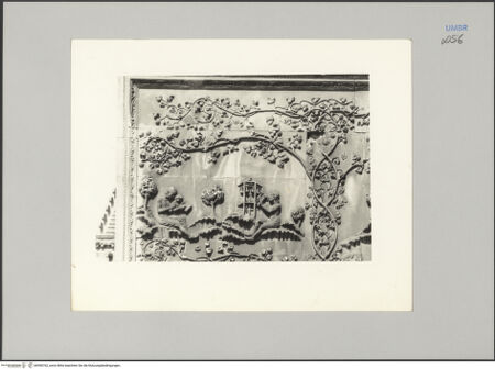 Vorderseite von Alinari [https://www.deutsche-digitale-bibliothek.de/content/lizenzen/rv-ez/] Szenen aus der Heiligen SchriftSechzehn Szenen aus dem Alten Testament - Erschaffung der Fische und Vögel, bh590762_recto. Foto.