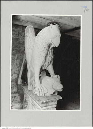 Vorderseite von unbekannt [https://www.deutsche-digitale-bibliothek.de/content/lizenzen/rv-fz/] Palazzo dei Priori - Portal: linker Greife mit Kalb, bh590788_recto. Foto.