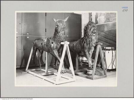 Vorderseite von Ministero della Pubblica Istruzione Istituto Centrale del Restauro, Roma, [https://www.deutsche-digitale-bibliothek.de/content/lizenzen/rv-fz/] Bronzefiguren der Fassade - Greif und Löwe (in Restaurierungswerkstatt), bh590790_recto. Foto.