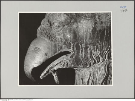 Vorderseite von Ministero della Pubblica Istruzione Istituto Centrale del Restauro, Roma [https://www.deutsche-digitale-bibliothek.de/content/lizenzen/rv-ez/] Bronzefiguren der FassadeGreif - Detail: Kopf, bh590791_recto. Foto.