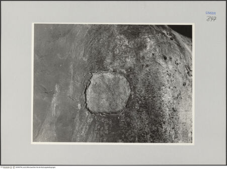 Vorderseite von Ministero della Pubblica Istruzione Istituto Centrale del Restauro, Roma [https://www.deutsche-digitale-bibliothek.de/content/lizenzen/rv-ez/] Bronzefiguren der FassadeGreif - Detail: Schadstelle, bh590794_recto. Foto.