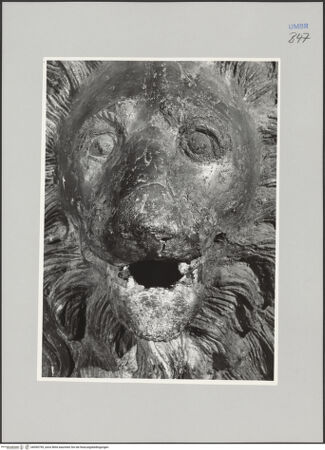 Vorderseite von Ministero della Pubblica Istruzione Istituto Centrale del Restauro, Roma [https://www.deutsche-digitale-bibliothek.de/content/lizenzen/rv-ez/] Bronzefiguren der FassadeLöwe - Detail: Kopf, bh590795_recto. Foto.