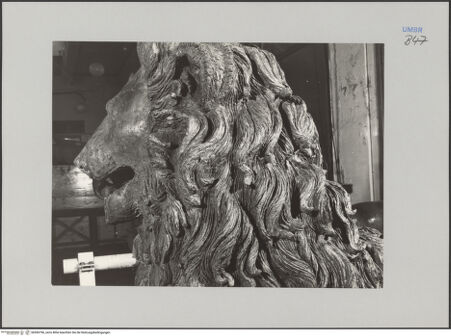 Vorderseite von Ministero della Pubblica Istruzione Istituto Centrale del Restauro, Roma [https://www.deutsche-digitale-bibliothek.de/content/lizenzen/rv-ez/] Bronzefiguren der FassadeLöwe - Detail: Kopf und Mähne, bh590796_recto. Foto.