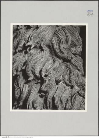 Vorderseite von Ministero della Pubblica Istruzione Istituto Centrale del Restauro, Roma [https://www.deutsche-digitale-bibliothek.de/content/lizenzen/rv-ez/] Bronzefiguren der FassadeLöwe - Detail: Mähne, bh590797_recto. Foto.