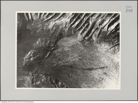 Vorderseite von Ministero della Pubblica Istruzione Istituto Centrale del Restauro, Roma [https://www.deutsche-digitale-bibliothek.de/content/lizenzen/rv-ez/] Bronzefiguren der FassadeLöwe - Detail: Ansatz der Mähne, bh590799_recto. Foto.