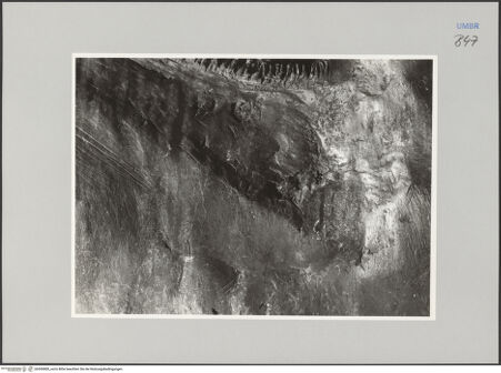 Vorderseite von Ministero della Pubblica Istruzione Istituto Centrale del Restauro, Roma [https://www.deutsche-digitale-bibliothek.de/content/lizenzen/rv-ez/] Bronzefiguren der FassadeLöwe - Detail: Fell, bh590800_recto. Foto.