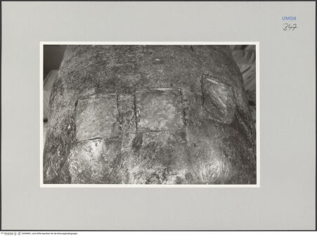 Vorderseite von Ministero della Pubblica Istruzione Istituto Centrale del Restauro, Roma [https://www.deutsche-digitale-bibliothek.de/content/lizenzen/rv-ez/] Bronzefiguren der FassadeLöwe - Detail: Rumpf, drei rechteckige Einschlüsse, bh590801_recto. Foto.