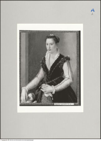 Vorderseite von Sotheby's [https://www.deutsche-digitale-bibliothek.de/content/lizenzen/rv-ez/] Bildnis einer Dame mit Spaniel - , bh591053_recto. Foto.