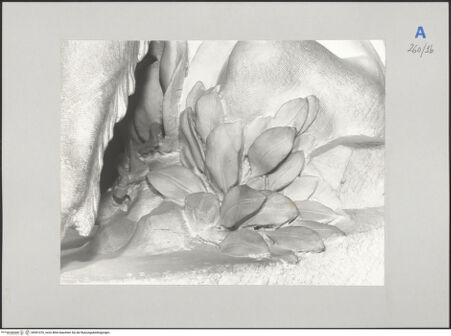 Vorderseite von bh591076_recto