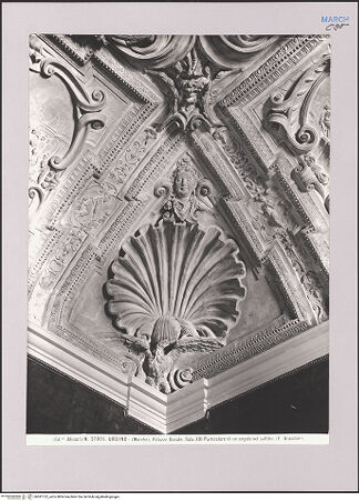 Vorderseite von Alinari [https://www.deutsche-digitale-bibliothek.de/content/lizenzen/rv-ez/] Fünf Deckenreliefs - Detail: Zwickel, bh591122_recto. Foto.