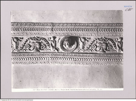 Vorderseite von Alinari [https://www.deutsche-digitale-bibliothek.de/content/lizenzen/rv-ez/] Stuckdekoration der Decke - Detail: Stuckdekoration, Fries der Decke, bh591130_recto. Foto.