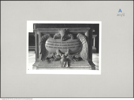 Vorderseite von Musei Vaticani [https://www.deutsche-digitale-bibliothek.de/content/lizenzen/rv-ez/] Apoll und Daphne - Detail des Sockels mit Adler und Kartusche, bh591260_recto. Foto.