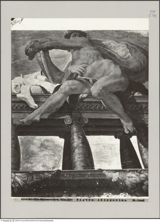 Vorderseite von Croci [https://rightsstatements.org/page/CNE/1.0/] Abenteuer des Odysseus und IgnudiIgnudo (zwischen der Szene Aiolos und Odysseus und der Szene Odysseus und Kirke) - Gesamtansicht, bh591313_recto. Foto.