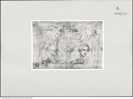 Vorderseite von bh592377_recto