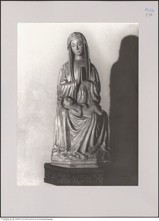 Vorderseite von Bibliotheca Hertziana [https://www.deutsche-digitale-bibliothek.de/content/lizenzen/rv-fz/] Madonna - Gesamtansicht, bh592873_recto. Foto: Negri Arnoldi, Francesco.