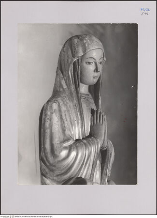 Vorderseite von Bibliotheca Hertziana [https://www.deutsche-digitale-bibliothek.de/content/lizenzen/rv-fz/] Madonna - Detail: Oberkörper von links, bh592874_recto. Foto: Negri Arnoldi, Francesco.