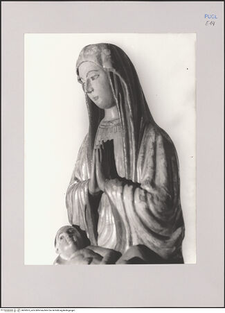 Vorderseite von Bibliotheca Hertziana [https://www.deutsche-digitale-bibliothek.de/content/lizenzen/rv-fz/] Madonna - Detail: Oberkörper von rechts, bh592875_recto. Foto: Negri Arnoldi, Francesco.