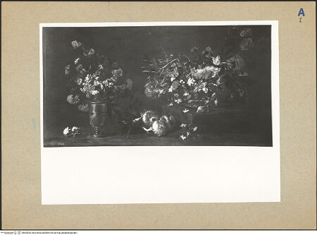 Vorderseite von bh593053_recto