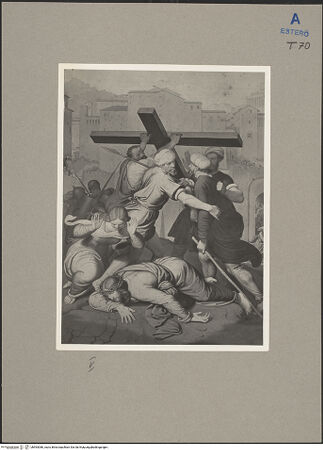 Vorderseite von bh593086_recto