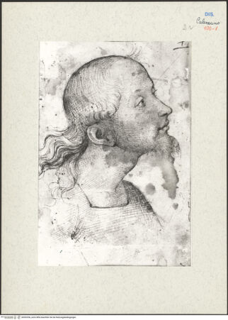 Vorderseite von bh593356_recto