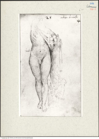 Vorderseite von bh593363_recto