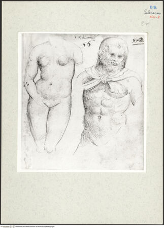 Vorderseite von bh593366_recto