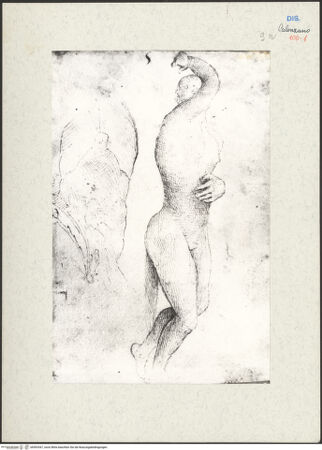 Vorderseite von bh593367_recto