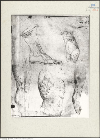 Vorderseite von bh593370_recto