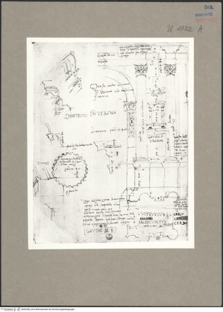 Vorderseite von bh593385_recto