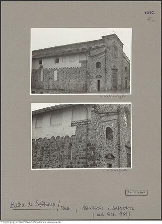 Vorderseite von bh593645_bh593646_recto