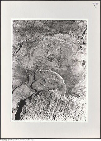 Vorderseite von bh593842_recto