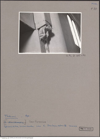 Vorderseite von Bibliotheca Hertziana [https://www.deutsche-digitale-bibliothek.de/content/lizenzen/rv-fz/] San Francesco - Nordseitenschiff, Konsole, bh593892_recto. Foto: Hahn, Hanno.