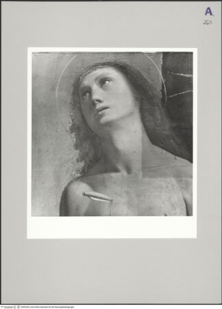 Vorderseite von bh593925_recto