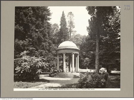 Vorderseite von bh594137_recto