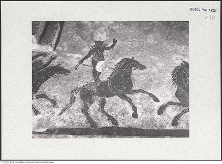 Vorderseite von bh594244_recto