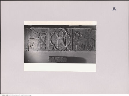 Vorderseite von Bibliotheca Hertziana [https://www.deutsche-digitale-bibliothek.de/content/lizenzen/rv-fz/] Marmorplatte mit Wappen der Familie Sanseverino - Gesamtansicht, bh594633_recto. Foto: Negri Arnoldi, Francesco.