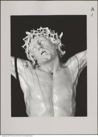 Vorderseite von unbekannt [https://www.deutsche-digitale-bibliothek.de/content/lizenzen/rv-fz/] Kruzifix - Detail: Kopf (Kreuz nicht sichtbar), bh594655_recto. Foto: Eugenio Monti.