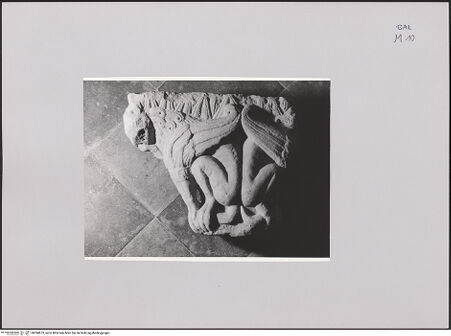 Vorderseite von Bibliotheca Hertziana [https://www.deutsche-digitale-bibliothek.de/content/lizenzen/rv-fz/] Skulpturfragmente aus dem zerstörten Kreuzgang der Abtei Santissima TrinitàKapitell mit geflügelten Löwen - Frontalansicht, bh594673_recto. Foto.