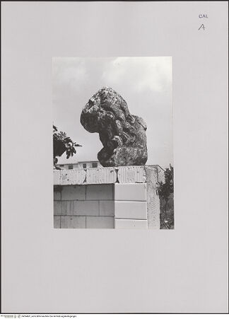 Vorderseite von unbekannt [https://www.deutsche-digitale-bibliothek.de/content/lizenzen/rv-fz/] Fragment eines Löwen - Frontalansicht, bh594681_recto. Foto: Vasari.