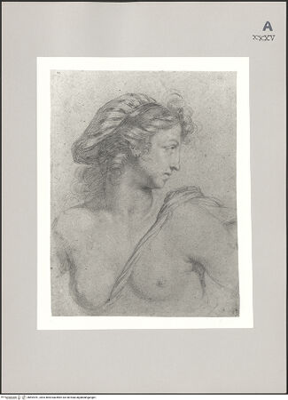 Vorderseite von Rheinisches Bildarchiv Köln [https://www.deutsche-digitale-bibliothek.de/content/lizenzen/rv-ez/] Weibliches Brustbild - , bh594781_recto. Foto: Zimmermann, Rolf.