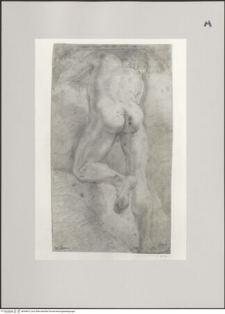 Vorderseite von Rheinisches Bildarchiv Köln [https://www.deutsche-digitale-bibliothek.de/content/lizenzen/rv-ez/] Rückenakt - , bh594819_recto. Foto.